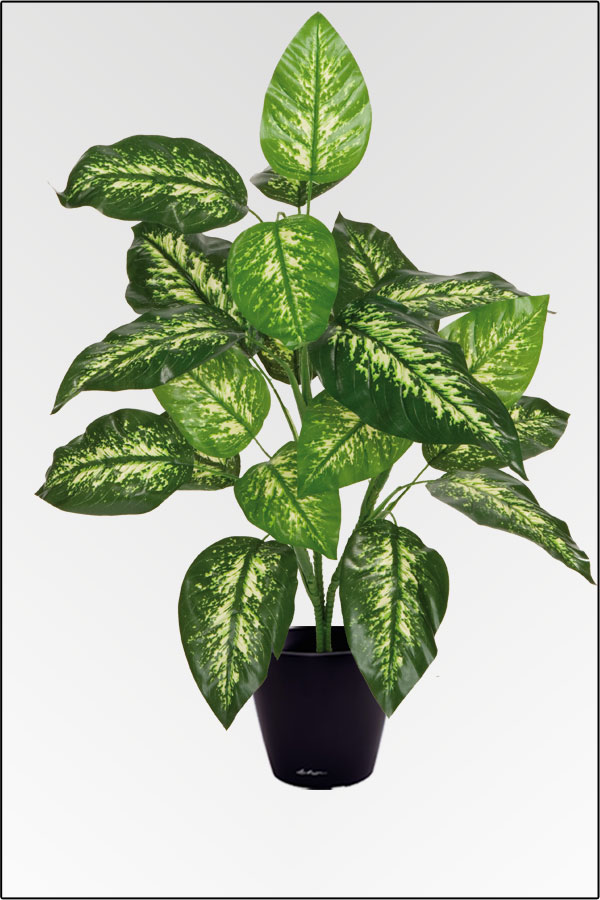 Wir bieten Ihnen eine grosse Auswahl an kuenstlichen Pflanzen in unserem  Onlineshop zu guenstigen Preisen und in einer Top Qualitaet. - günstig  kaufen bei